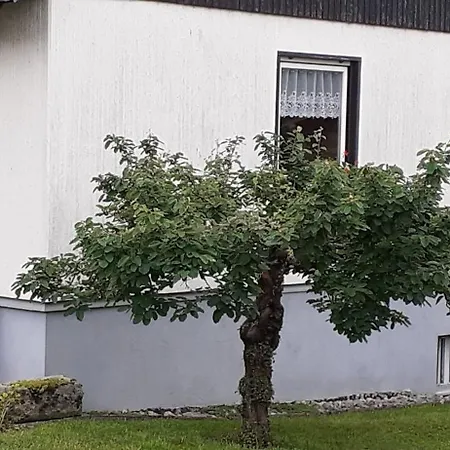 Belchenblick Steinen (Lorrach)