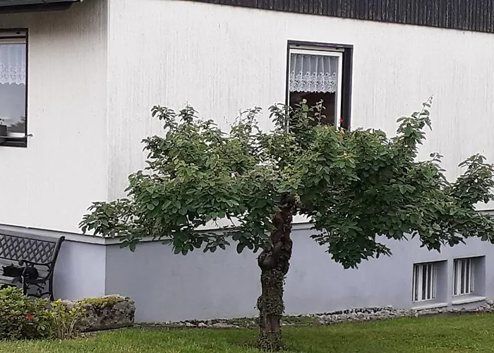 Belchenblick Steinen (Lorrach)